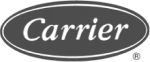 A black and white image of the word carrie.